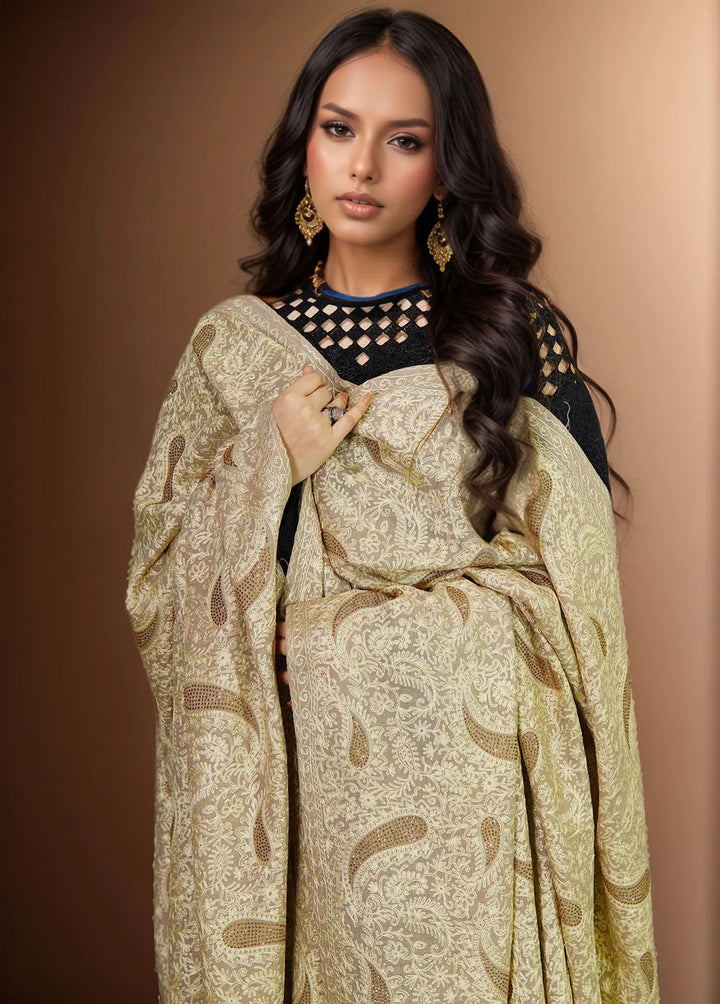 Sanaulla Exclusive Range Pashmina Shawl MAMA D-1 Light Brown - Winter Collection