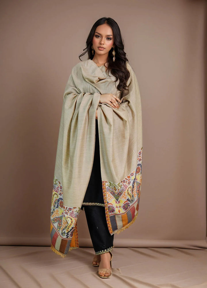 Sanaulla Exclusive Range Pashmina Shawl MAMA D-22 Multi 7 - Winter Collection