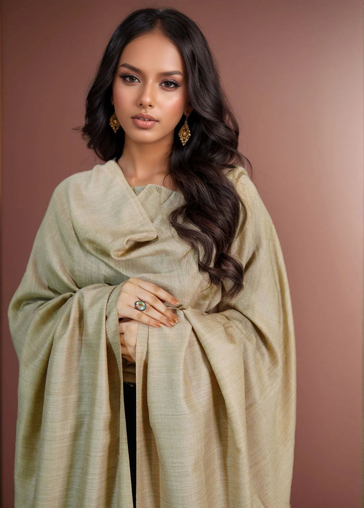 Sanaulla Exclusive Range Pashmina Shawl MAMA D-22 Multi 7 - Winter Collection