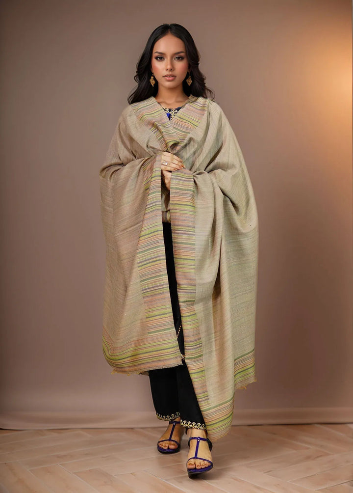 Sanaulla Exclusive Range Pashmina Shawl MAMA D-29 Brown 1 - Winter Collection