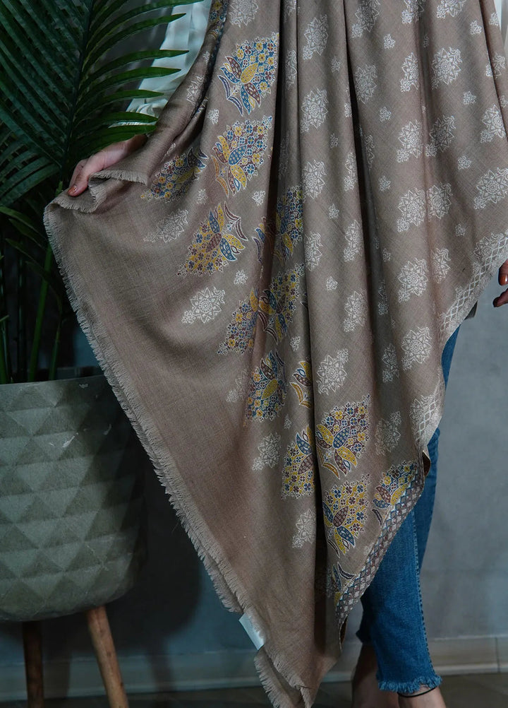 Sanaulla Exclusive Range Pashmina Shawl MAMA D-3 Dark Brown - Winter Collection