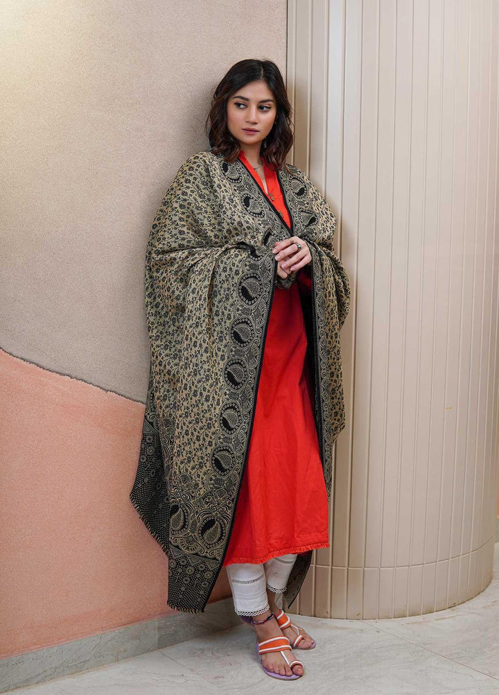 Sanaulla Exclusive Range  Pashmina  Shawls AKP-22 Black 01 - Pashmina Shawls