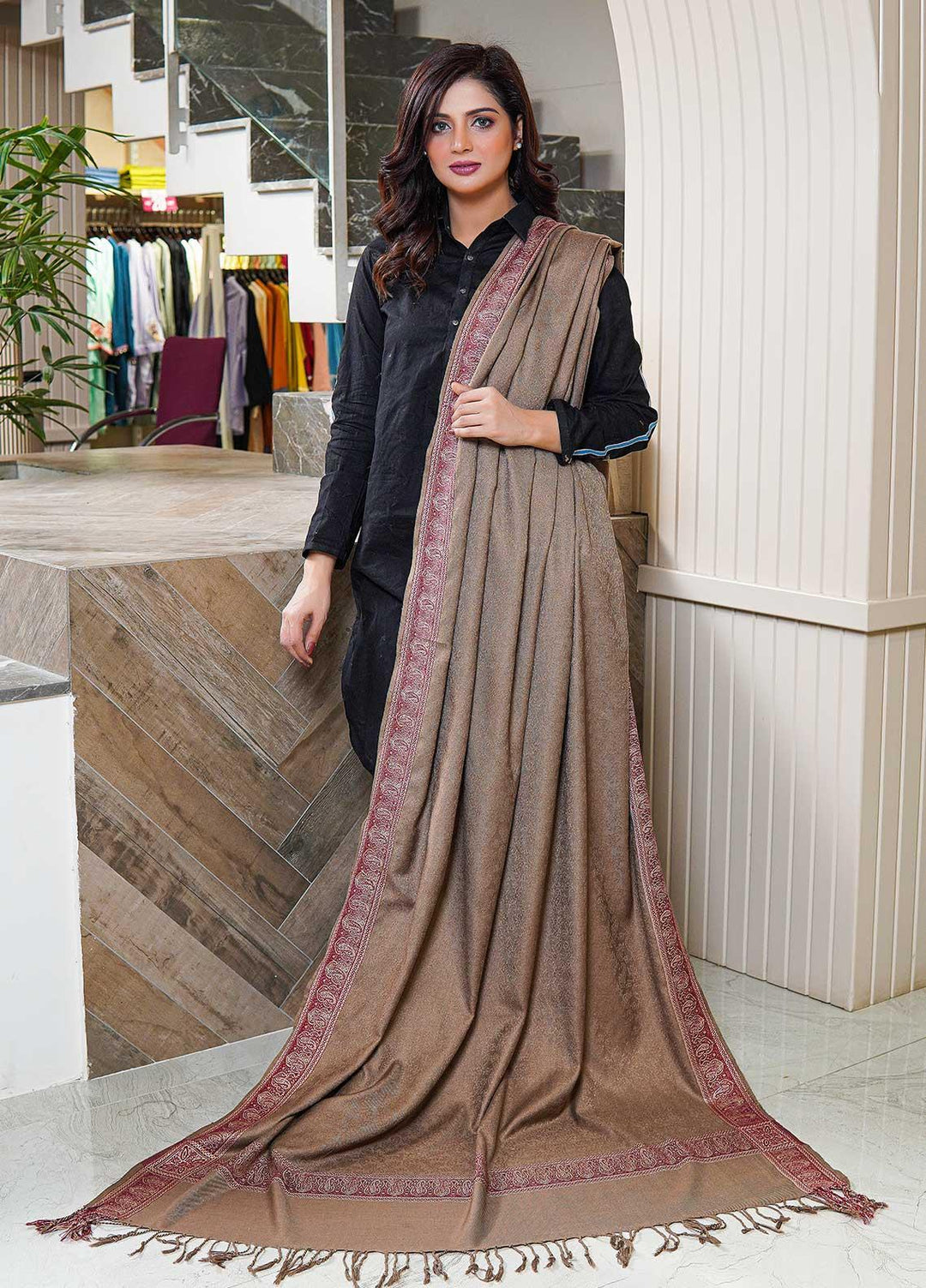 Sanaulla Exclusive Range  Pashmina  Shawls Self Patti Acrylic KPS-06 Brown - Pashmina Shawls