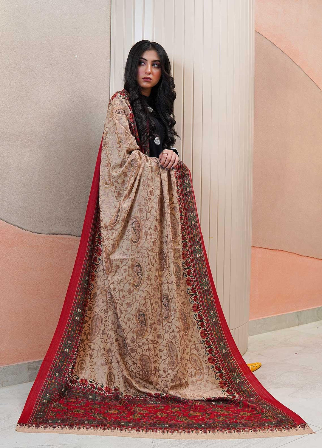 Sanaulla Exclusive Range  Pashmina  Shawls AKP-09 Fawn 01 - Pashmina Shawls