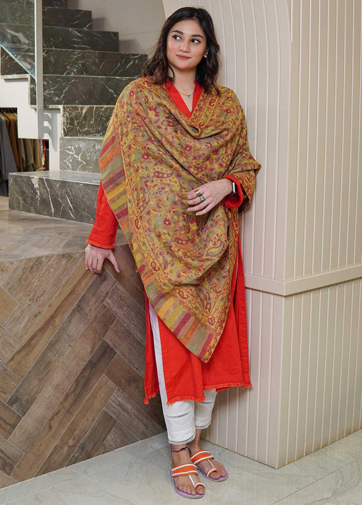 Sanaulla Exclusive Range  Pashmina  Shawls MAMA-02 Brown-4 - Pashmina Shawls