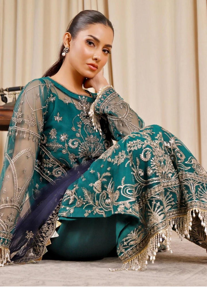 Noor-e-Rang By Sara N Samia Embroidered Net Suits Unstitched 3 Piece SS23NR NR-01 - Festive Collection