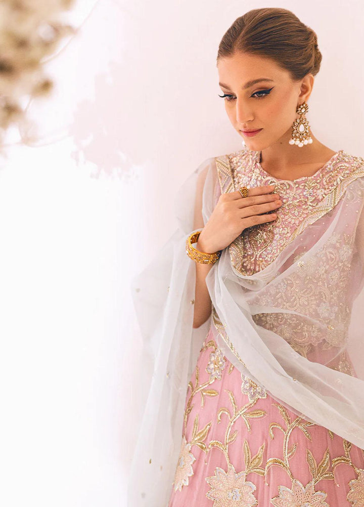 Sawariya By Roheenaz Embroidered Chiffon Suits Unstitched 4 Piece RNZ23S Runch230106 - Luxury Collection
