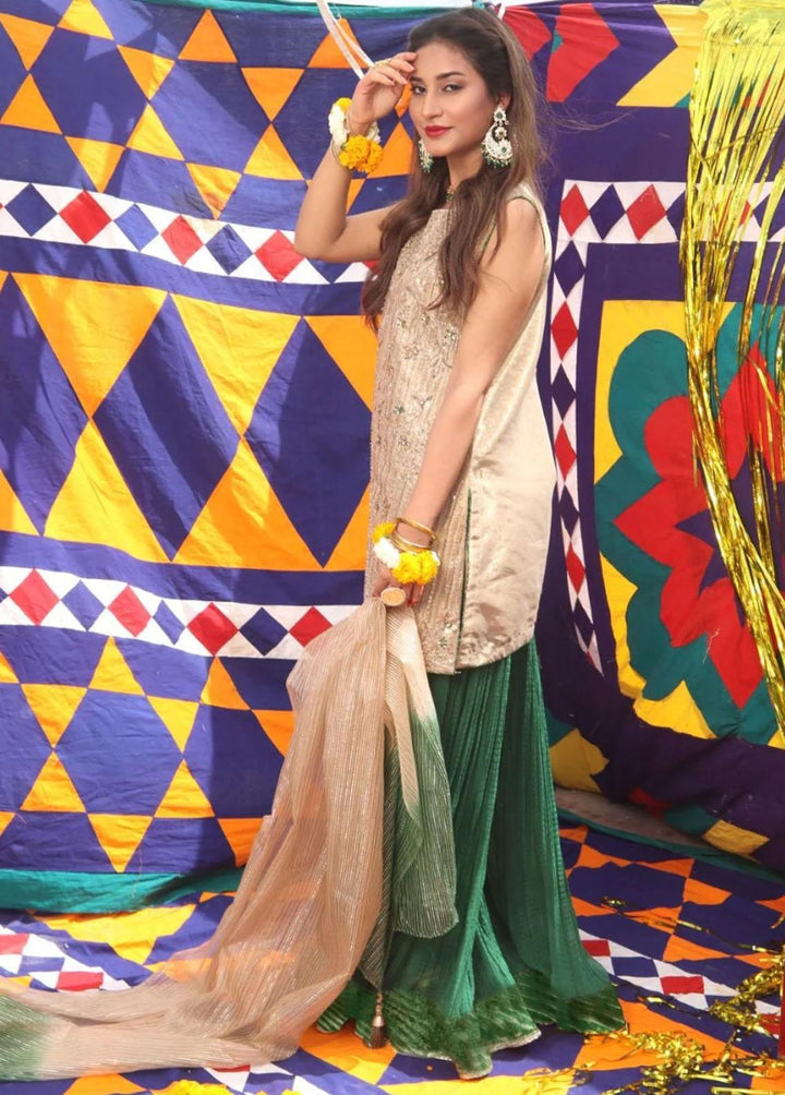 Senorita Organza Formal 3 Piece Suit for Women -  LDD-01891