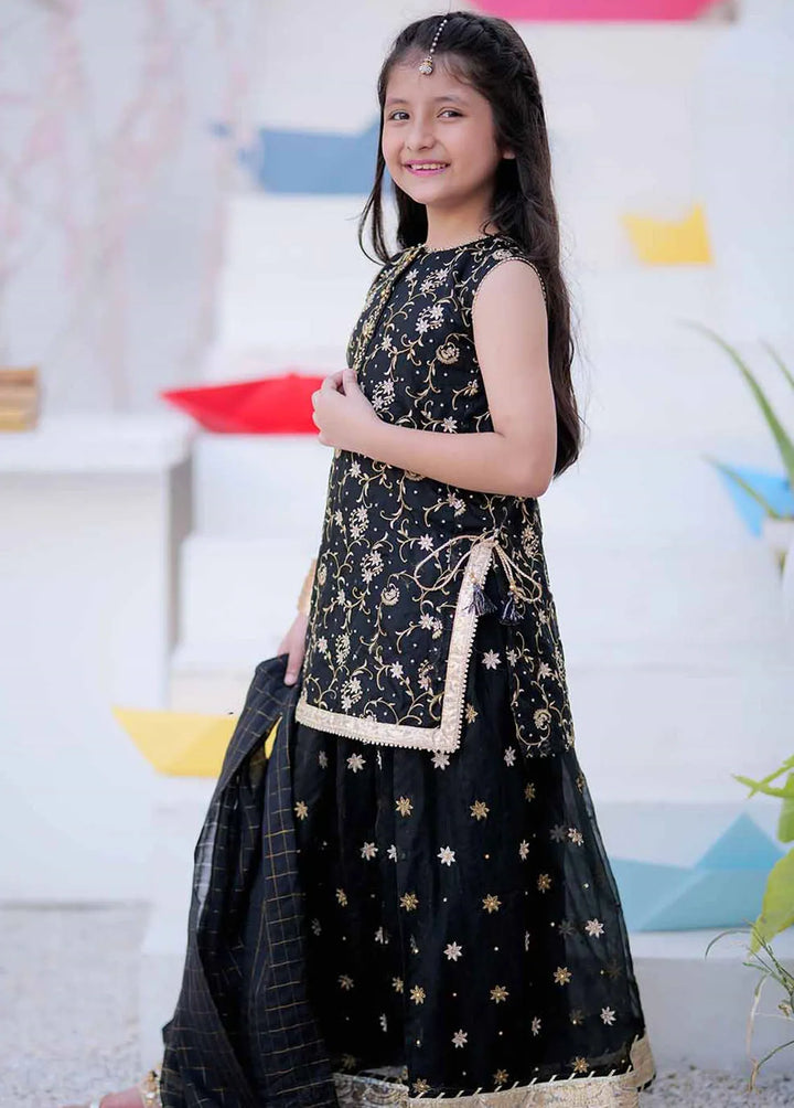 Senorita Organza Formal 3 Piece Suit for Girls -  KDD-02404