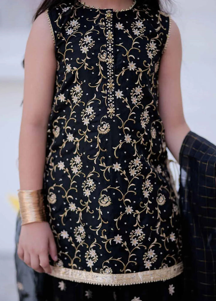 Senorita Organza Formal 3 Piece Suit for Girls -  KDD-02404