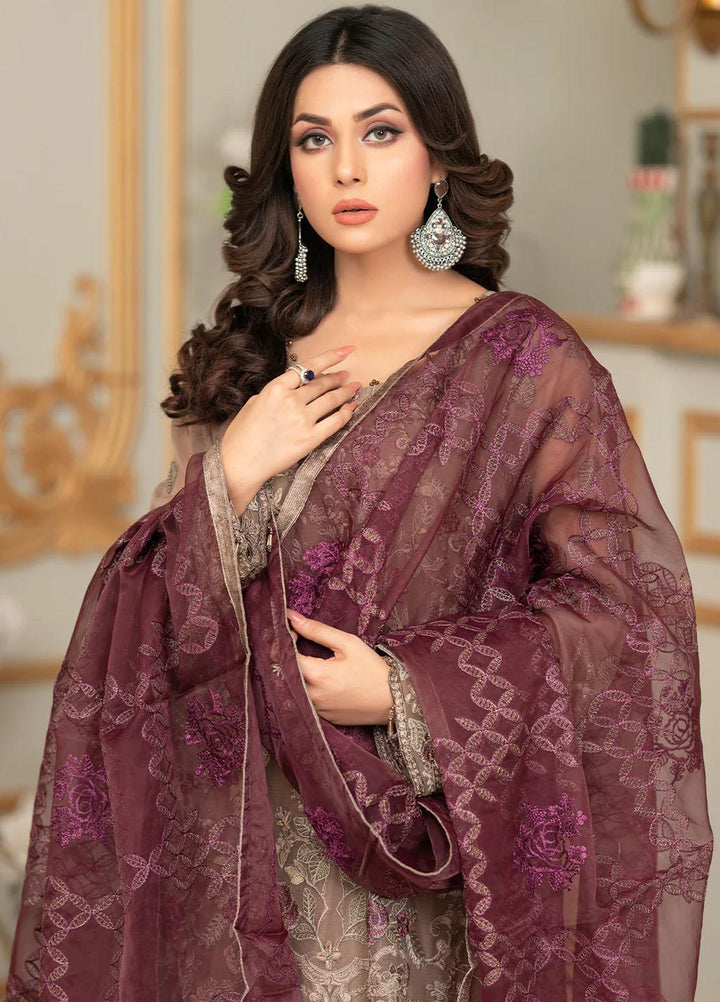 Shaadi Biyaah By Insiya Embroidered Chiffon Suits Unstitched 3 Piece INS23SB-S1 D1 - Wedding Collection