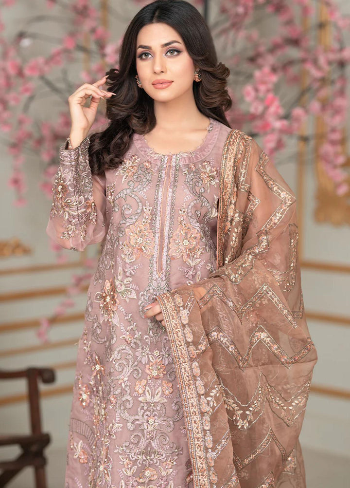 Shaadi Biyaah By Insiya Embroidered Organza Suits Unstitched 3 Piece INS23SB-S2 D2 - Wedding Collection