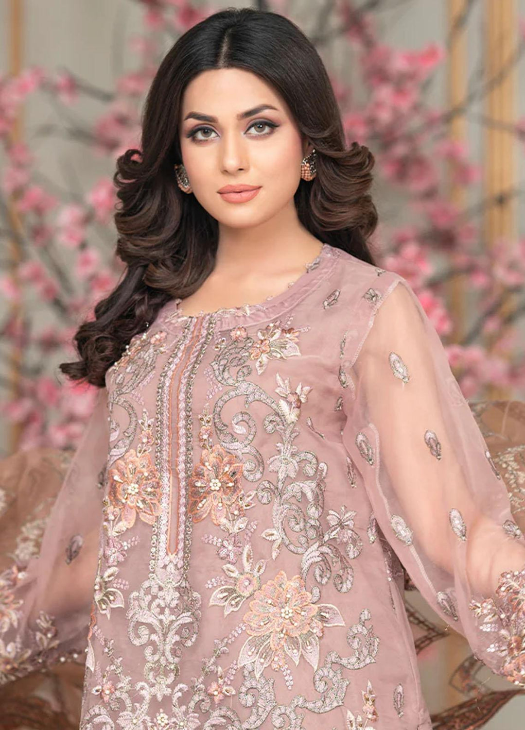 Shaadi Biyaah By Insiya Embroidered Organza Suits Unstitched 3 Piece INS23SB-S2 D2 - Wedding Collection