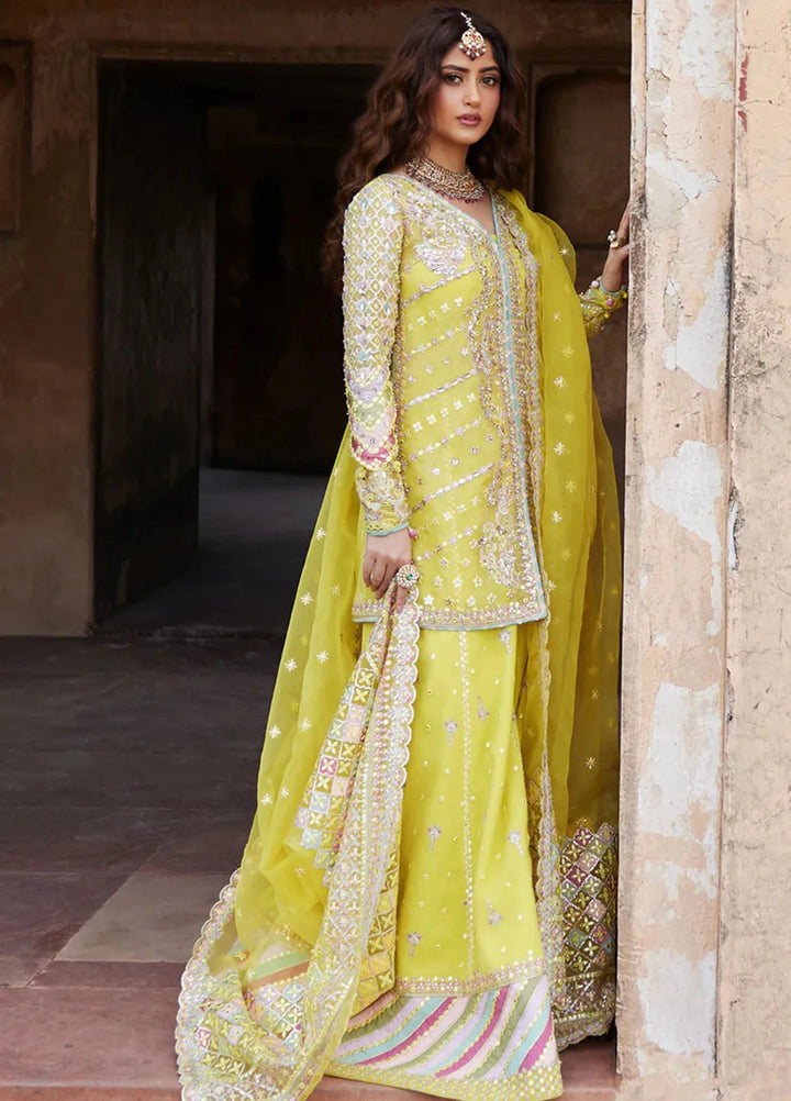 Shadmani by Qalamkar Embroidered Cotton Net Suits Unstitched 3 Piece QLM24SM Dania - Formals Collection