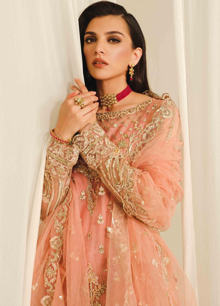 Shamrock Premium Luxury Pret Embroidered Net 3 Piece Suit MEERAH