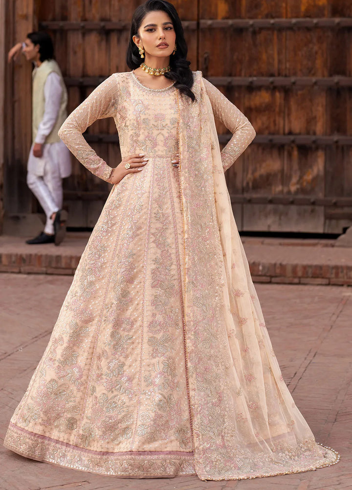 Shehnai by Zarif Embroidered Net Suit Unstitched 3 Piece ZF25S ZS-03 Heer - Formals Collection