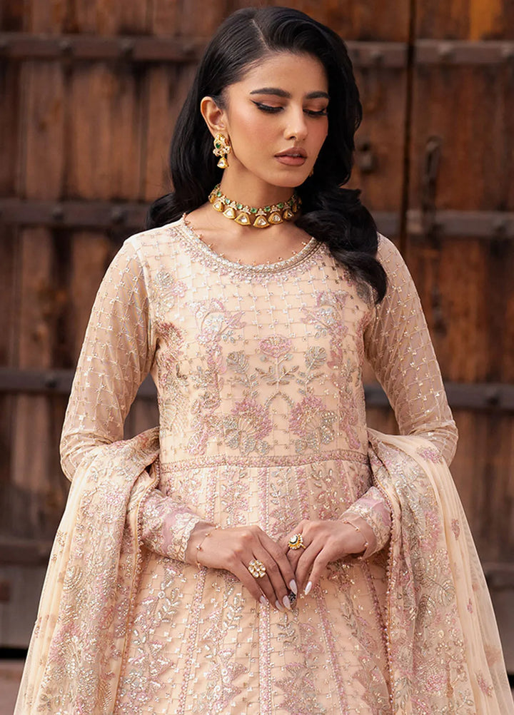 Shehnai by Zarif Embroidered Net Suit Unstitched 3 Piece ZF25S ZS-03 Heer - Formals Collection
