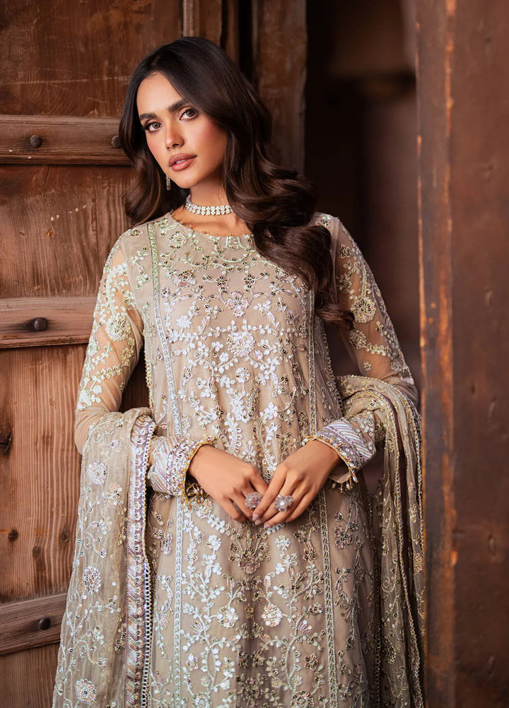 Shehnai by Zarif Embroidered Net Suit Unstitched 3 Piece ZF25S ZS-06 Dooriya - Formals Collection