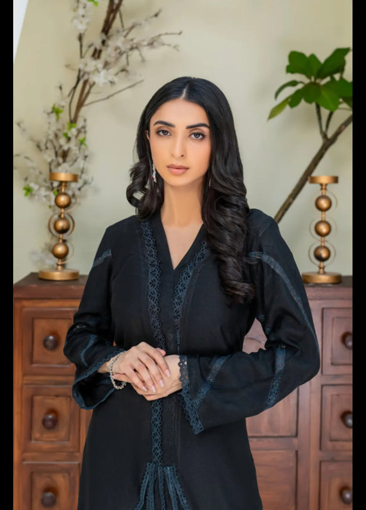 Soulwears Pret Embroidered Cotton Net 2 Piece Suit Dris