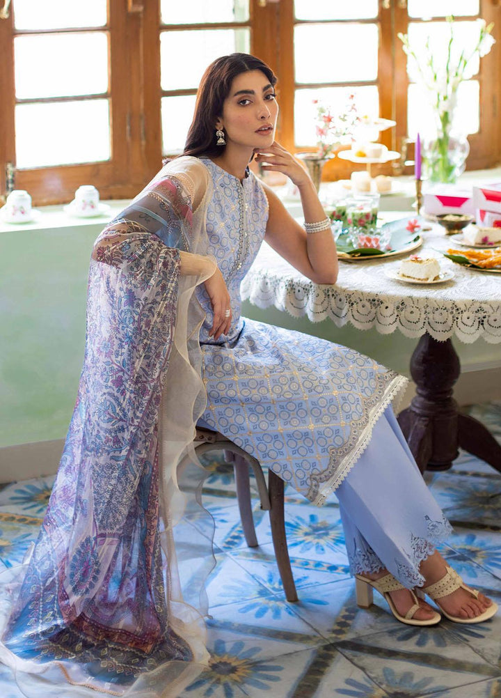 Sunehray Din By Seran Embroidered Lawn Suits Unstitched 3 Piece SRN23SD D-07 Zeb - Festive Collection