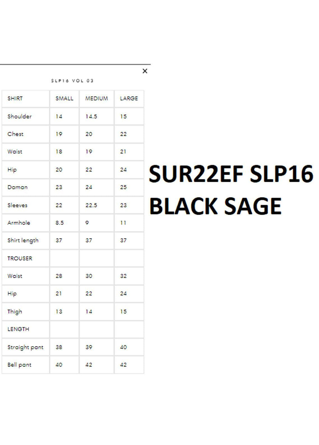 Surmai Luxury Pret   2 Piece Dress SUR22EF SLP16 BLACK SAGE