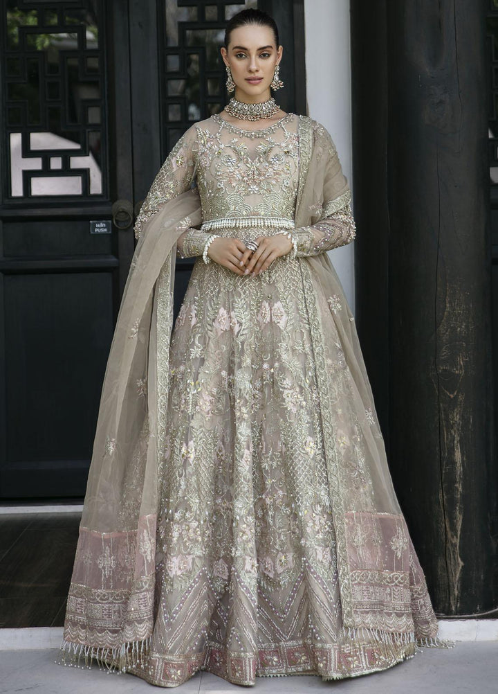 Surmaya By Avyana Embroidered Net Suits Unstitched 4 Piece AV23S AS-03 Nora - Wedding Collection