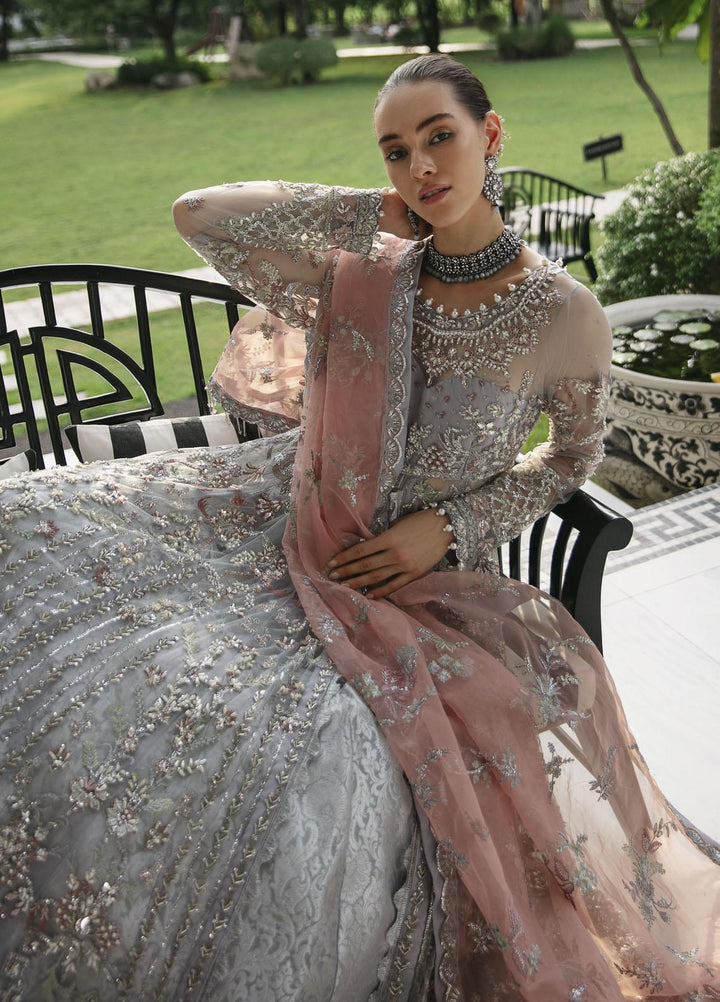 Surmaya By Avyana Embroidered Net Suits Unstitched 4 Piece AV23S AS-08 Zira - Wedding Collection