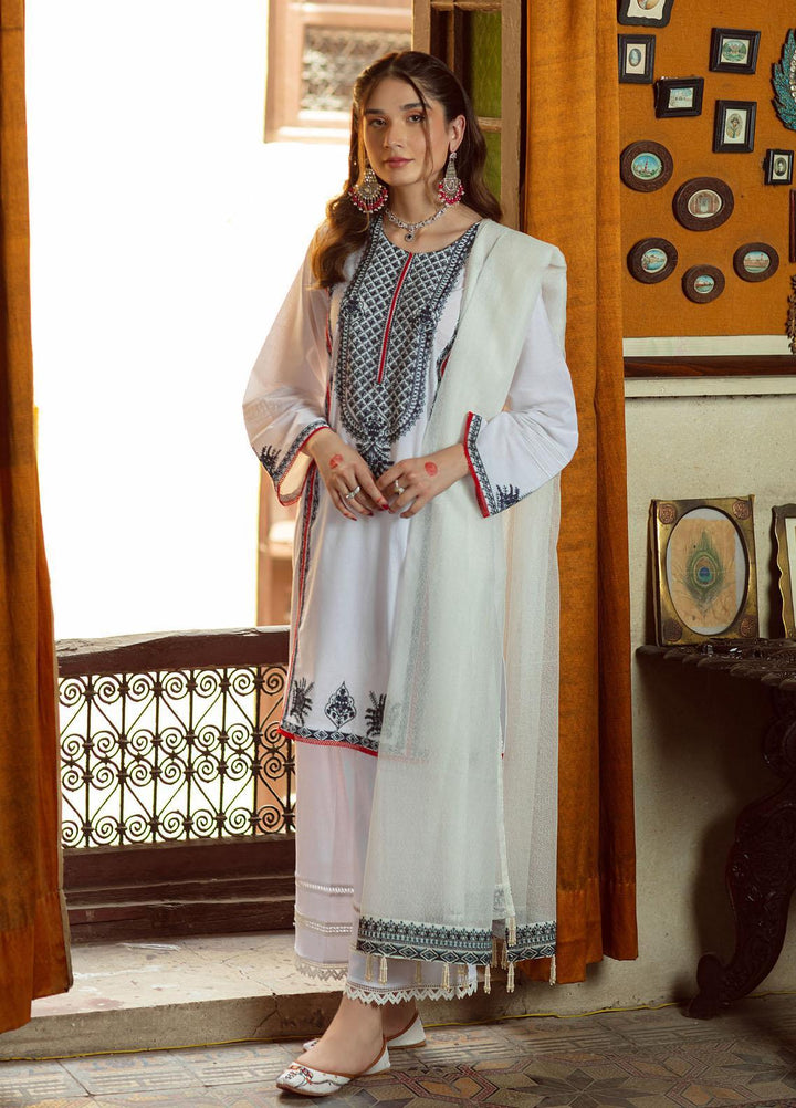Shanyera Ready to Wear Embroidered Lawn 3 Piece Suit SHN22TB C3 - Afaq