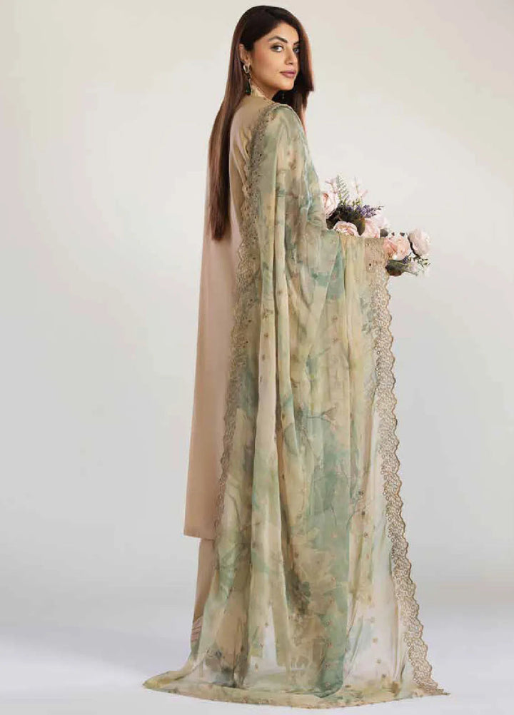 Tehzeeb By Riaz Arts Chikankari Lawn Suit Unstitched 3 Piece RA24T TL-249 - Summer Collection