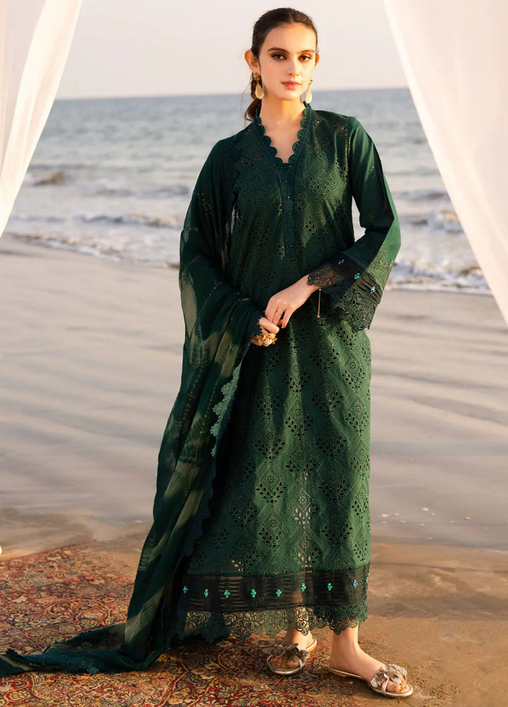 Tehzeeb by Riaz Arts Chikankari Lawn Suits Unstitched 3 Piece RA25TCL TL-432 - Summer Collection