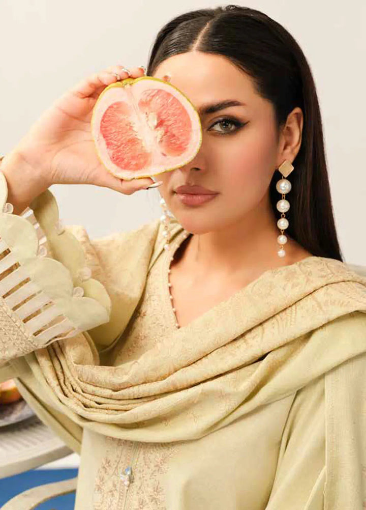 Tehzeeb By Riaz Arts Embroidered Leather Peach Suit Unstitched 3 Piece RA24EW TL-320 - Winter Collection