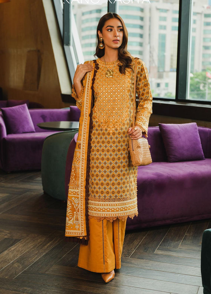 The Winter Affair By Rang Rasiya Embroidered Cotton Suits Unstitched 3 Piece RR22WA 09 Arzu - Winter Collection