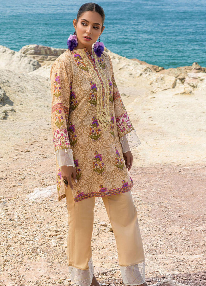 The Woven Palace Embroidered Khaddar Suits Unstitched 2 Piece TWP22K WPK22UN-BG007 AELIN - Winter Collection
