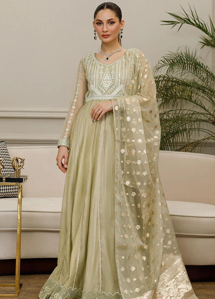 Threads & Motifs Pret Formal Wear Net Dress 8613