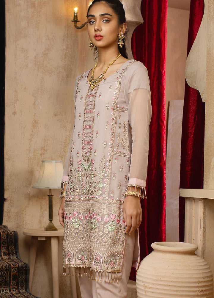 Vital Soiree By AB Textiles Embroidered Organza  Unstitched Kurties AB21VS VWE-02 PEAU - Festive Collection