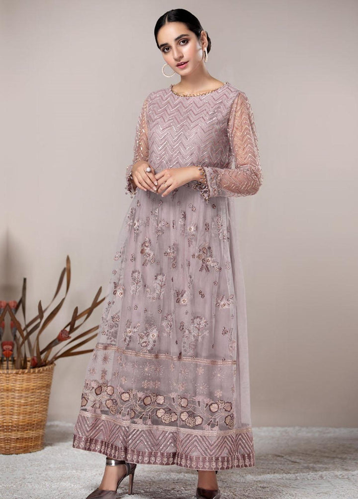 Xenia Formals Pret Embroidered Net 3 Piece Suit ALAINA XFR-20-164