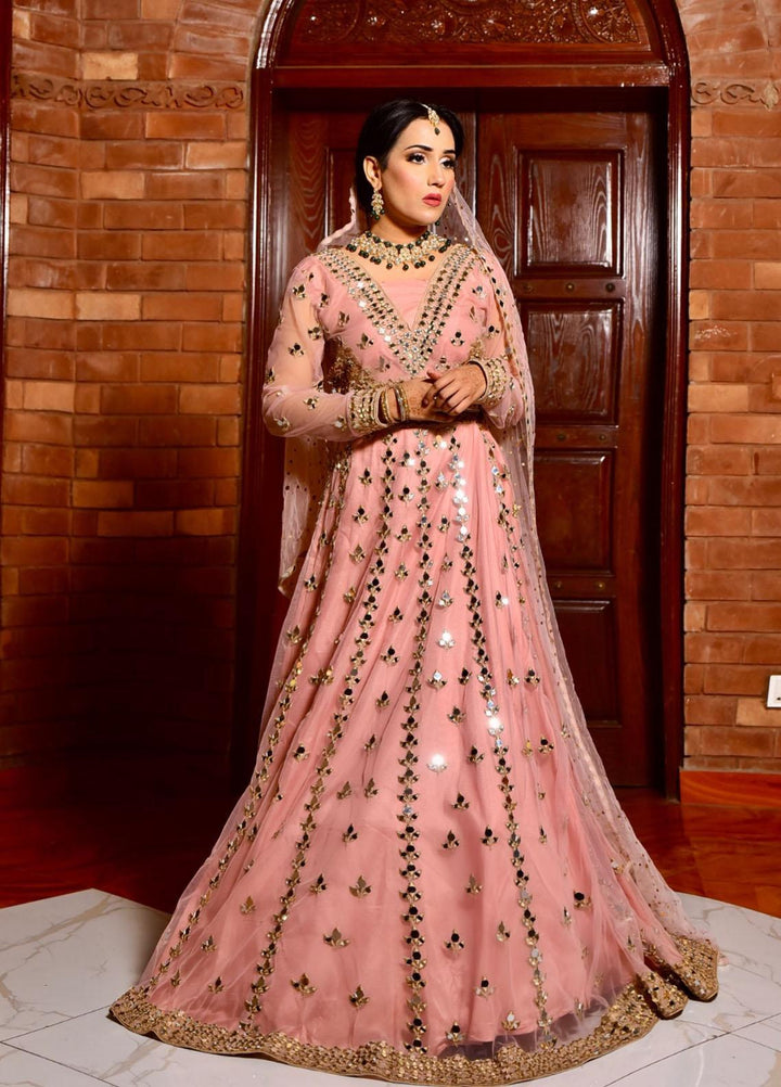 Zara Zubair Luxury Pret  Net 3 Piece Dress ZZ22AIP Sheesham