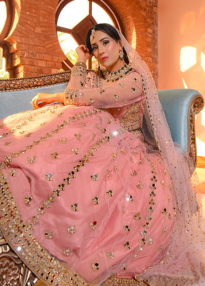 Zara Zubair Luxury Pret  Net 3 Piece Dress ZZ22AIP Sheesham
