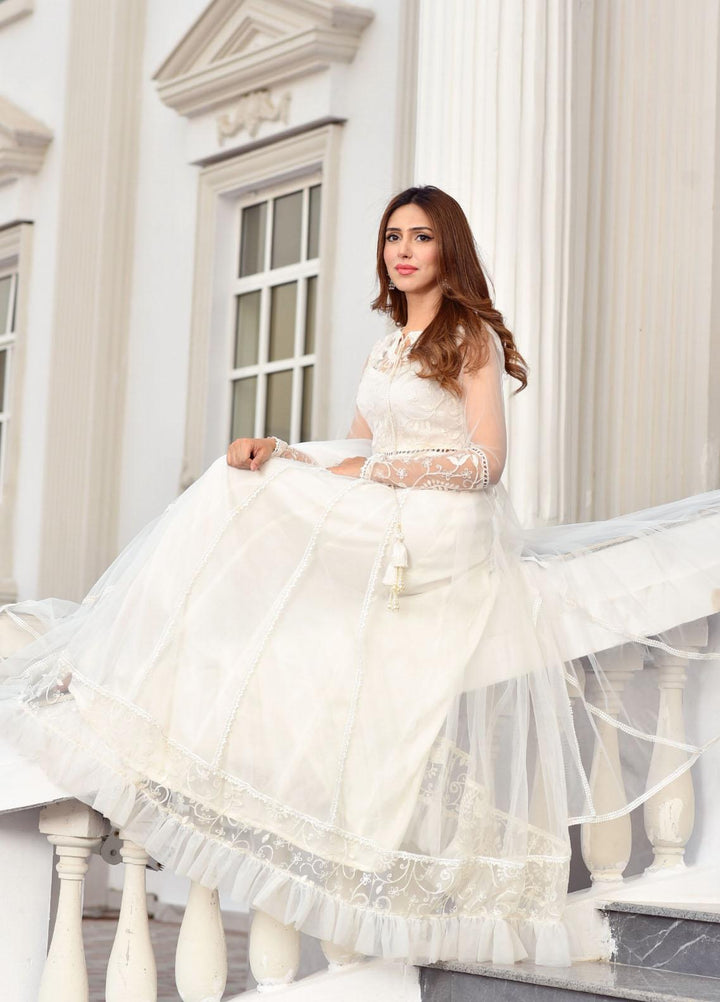Zara Zubair Luxury Pret  Net 2 Piece Suit ZZ22LE Jasmine