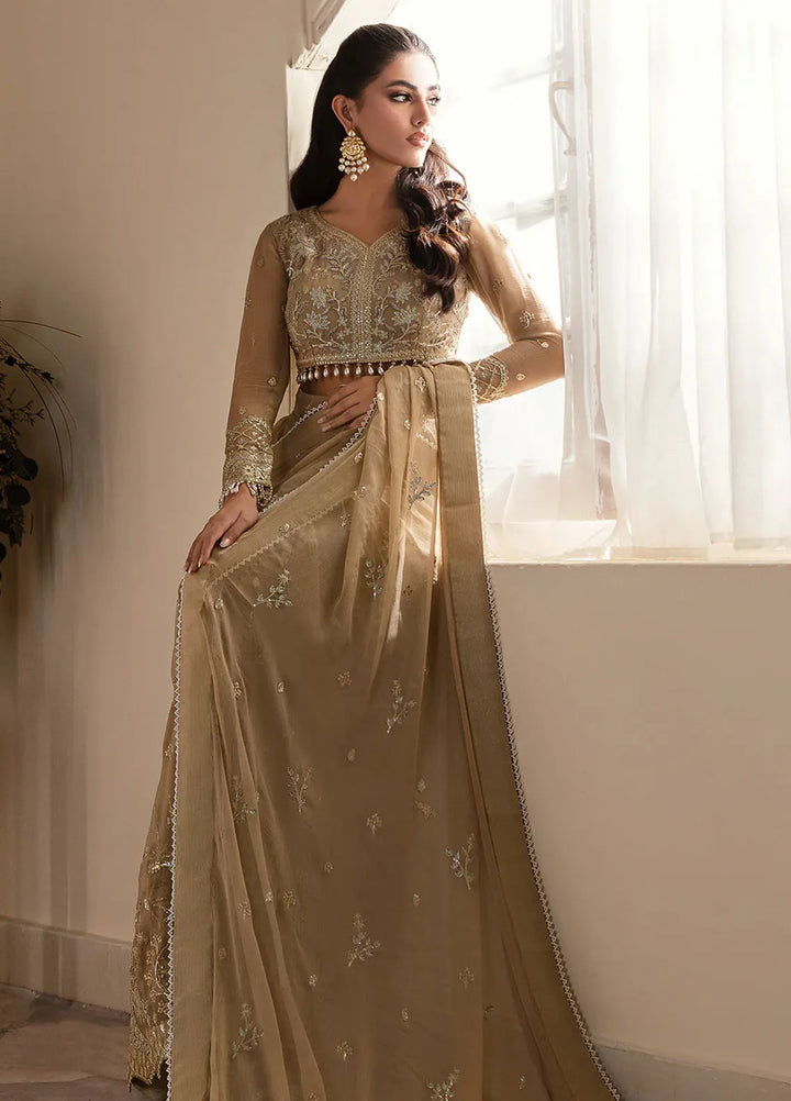 Zarposh Pret Embroidered Chiffon Mehru Saree