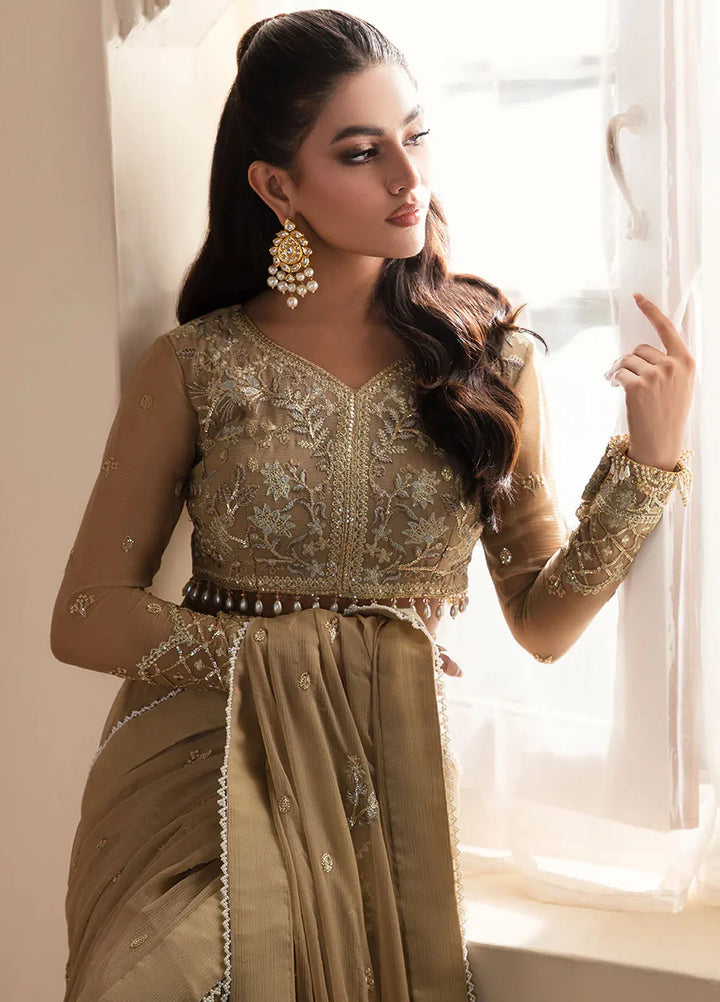 Zarposh Pret Embroidered Chiffon Mehru Saree