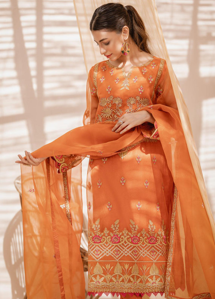Zebaqi Ready to Wear  Organza 3 Piece Suit Saa Yaal