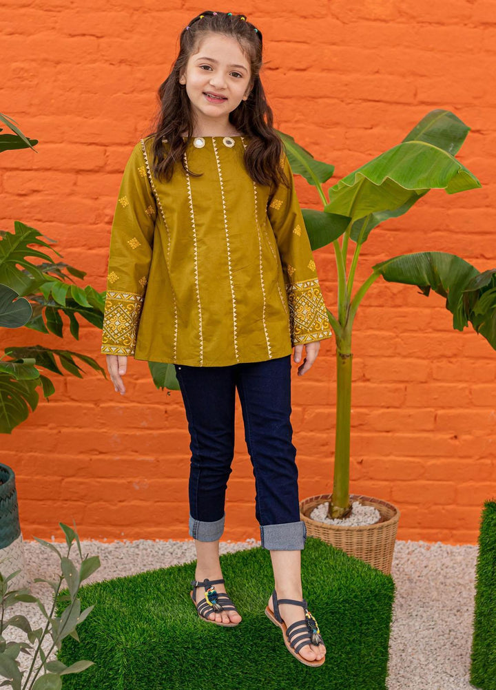 Ziva Pret Embroidered Cotton Tops ZA21G Hazel