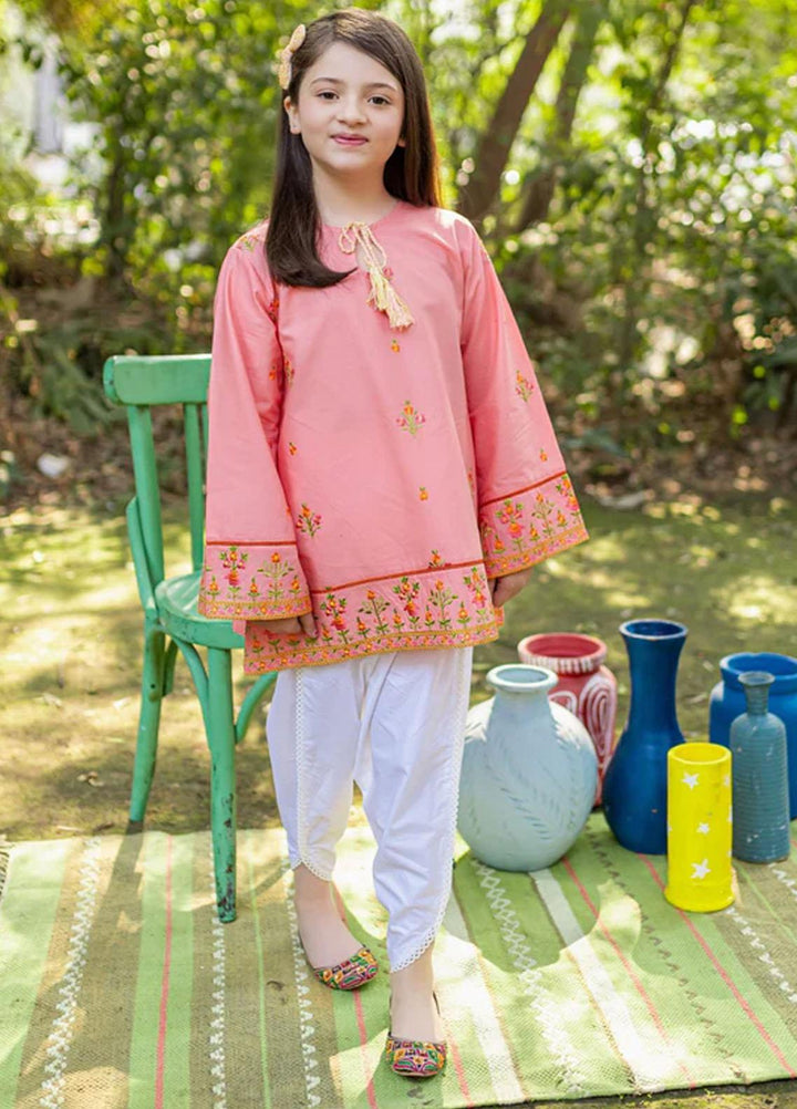 Ziva Pret  Lawn Top ZA22MD Ballet