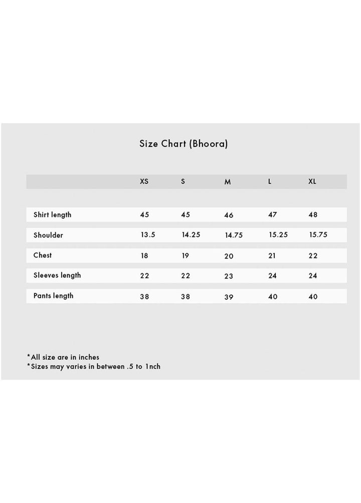 ZnH Pret  Silk 2 Piece ZNH22RR Bhoora
