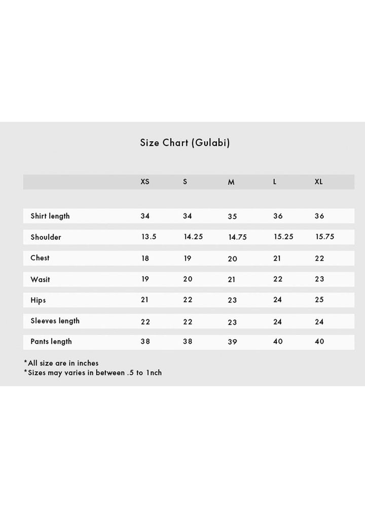 ZnH Pret  Silk 2 Piece ZNH22RR Gulabi
