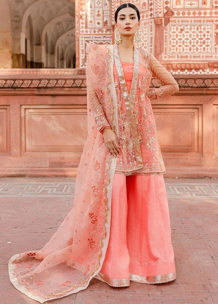 Zoya & Fatima Pret Embroidered Net 3 Piece Suit Ayra